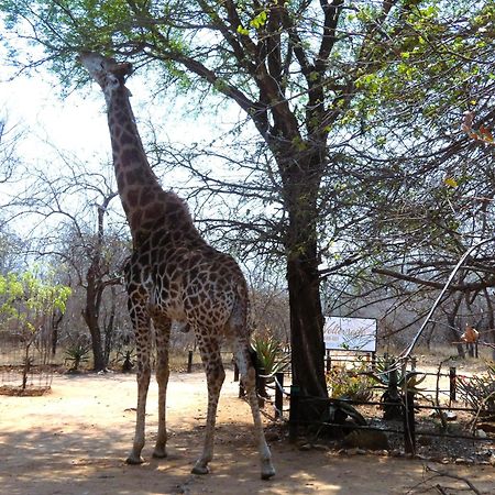 Weltevrede Lodge - Self Catering Houses Marloth Park Exteriér fotografie