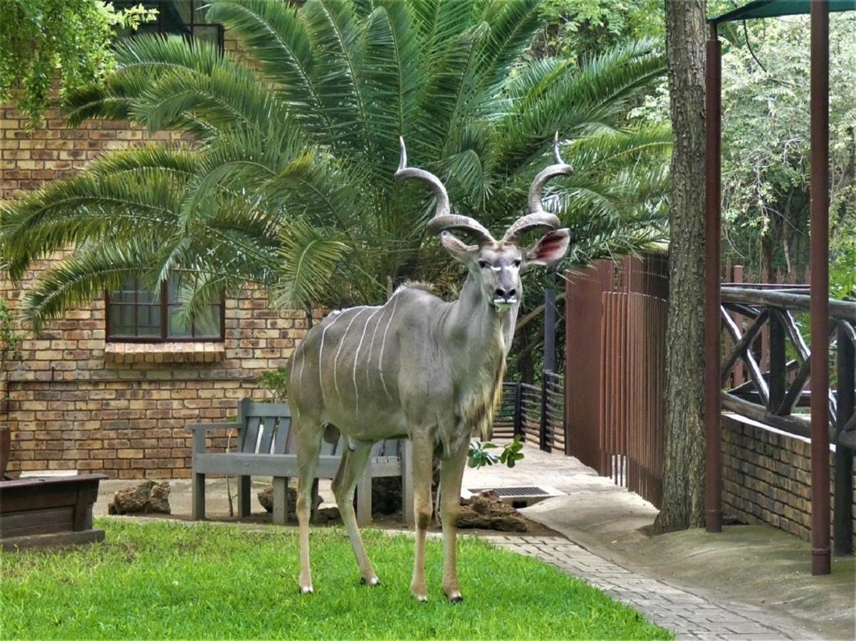 Weltevrede Lodge - Self Catering Houses Marloth Park Exteriér fotografie
